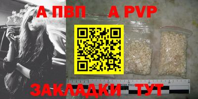 шишки Тара