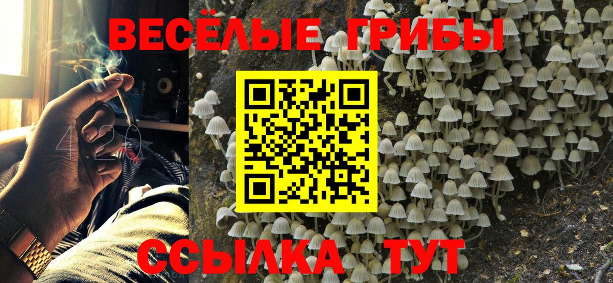 Галлюциногенные грибы Psilocybe Воскресенск